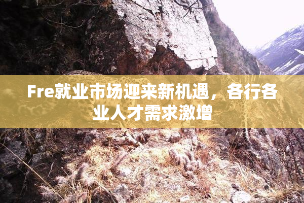 Fre就业市场迎来新机遇，各行各业人才需求激增