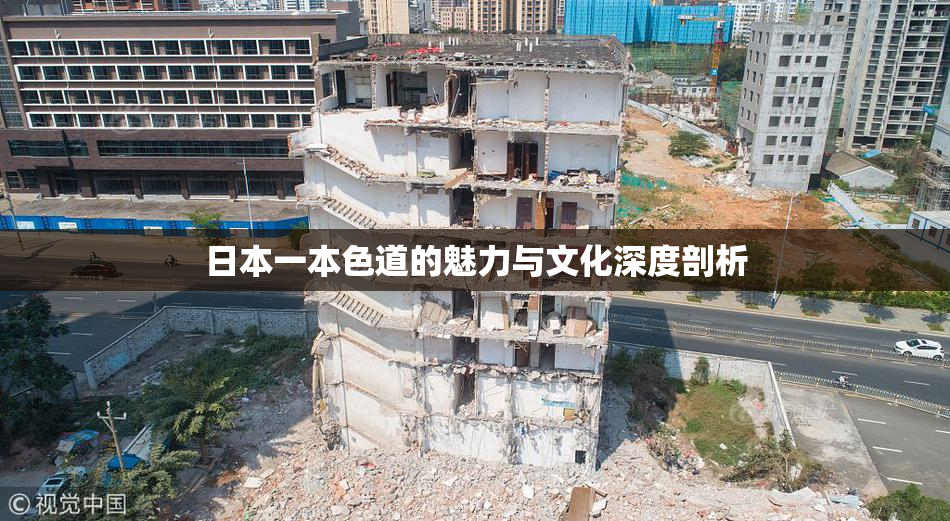 日本一本色道的魅力与文化深度剖析