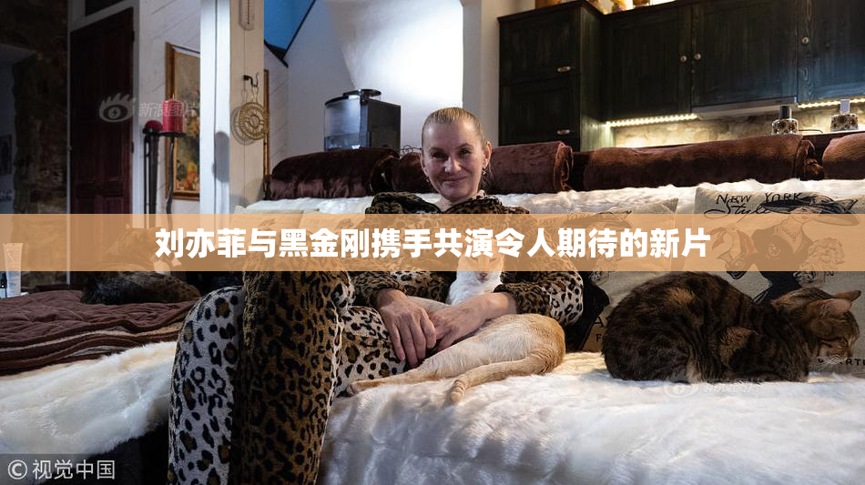 刘亦菲与黑金刚携手共演令人期待的新片