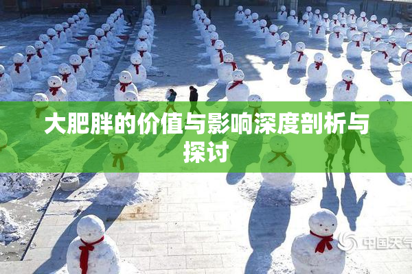 大肥胖的价值与影响深度剖析与探讨