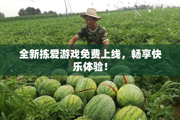 全新拣爱游戏免费上线，畅享快乐体验！