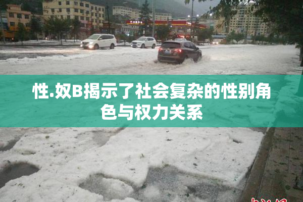 性.奴B揭示了社会复杂的性别角色与权力关系