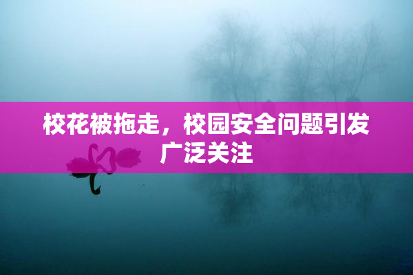 校花被拖走，校园安全问题引发广泛关注