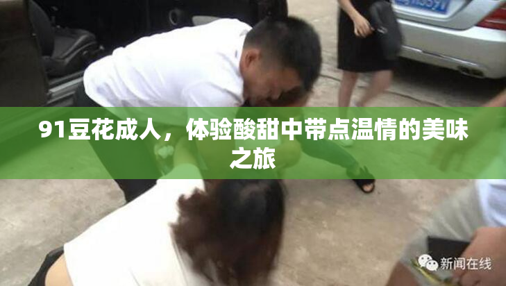 91豆花成人，体验酸甜中带点温情的美味之旅