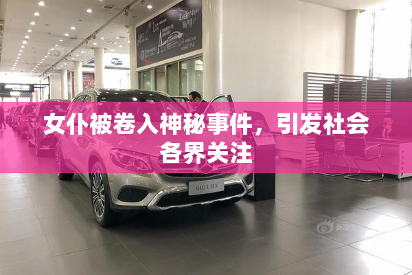 女仆被卷入神秘事件，引发社会各界关注