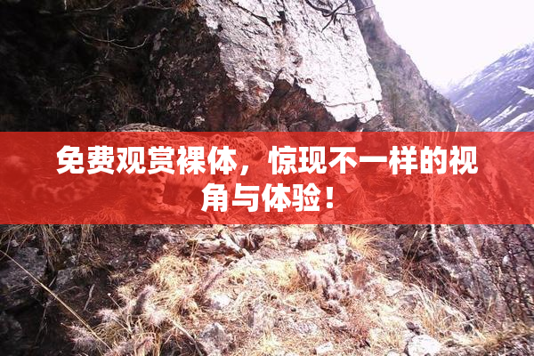 免费观赏裸体，惊现不一样的视角与体验！