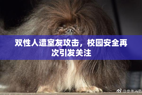 双性人遭室友攻击，校园安全再次引发关注