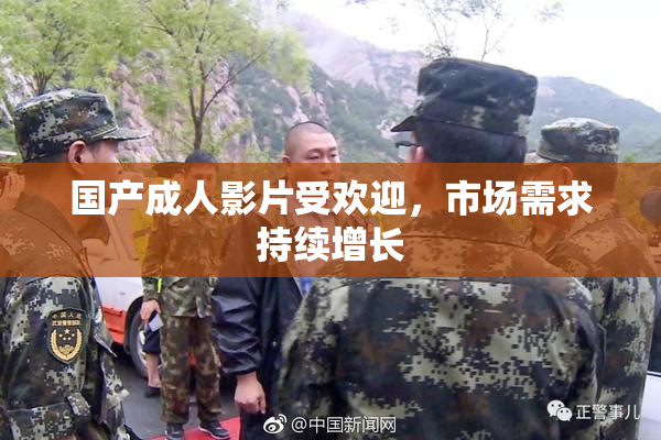 国产成人影片受欢迎，市场需求持续增长