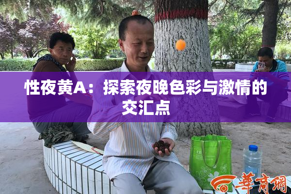 性夜黄A：探索夜晚色彩与激情的交汇点