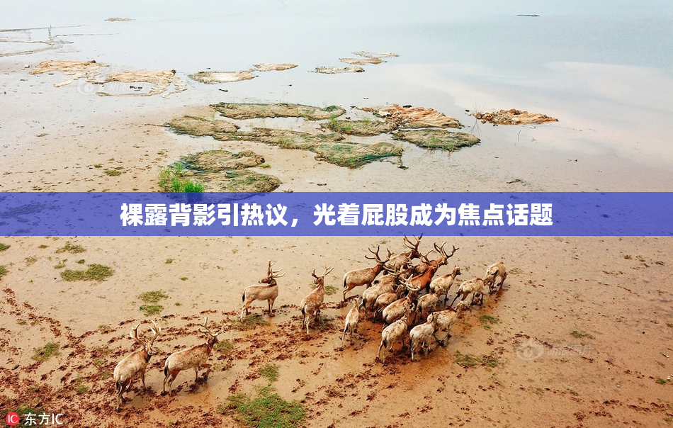 裸露背影引热议，光着屁股成为焦点话题