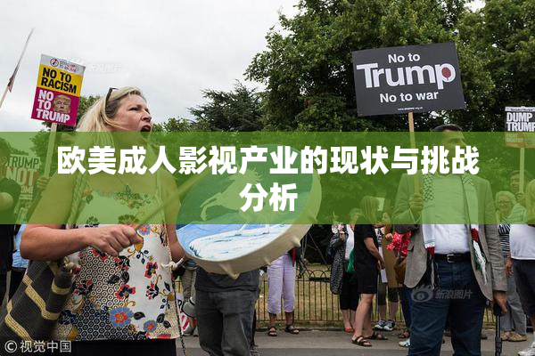 欧美成人影视产业的现状与挑战分析