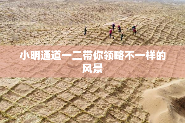 小明通道一二带你领略不一样的风景