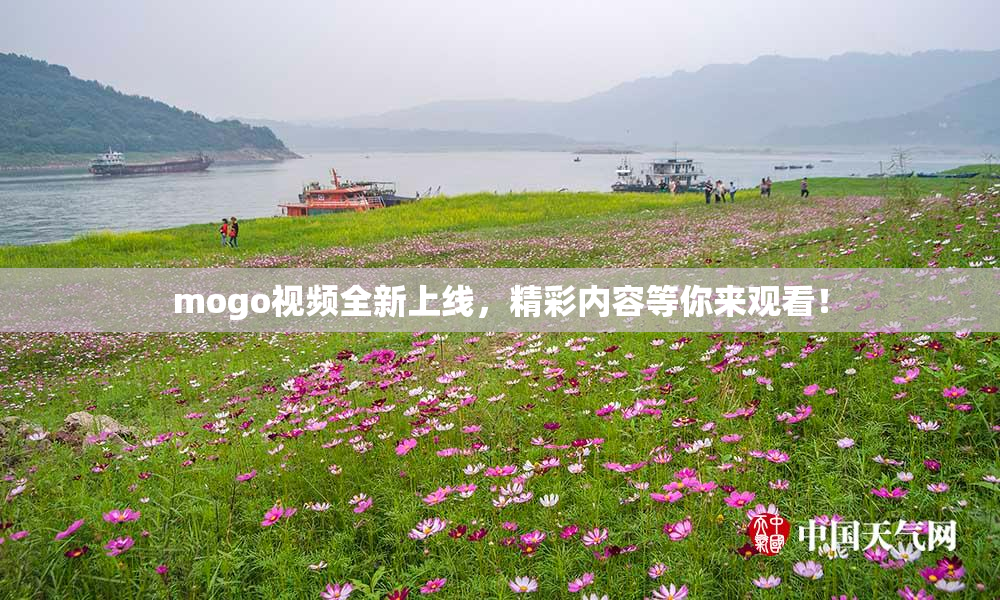 mogo视频全新上线，精彩内容等你来观看！