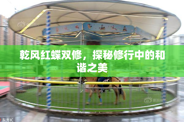 乾风红蝶双修，探秘修行中的和谐之美