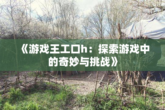 《游戏王工口h：探索游戏中的奇妙与挑战》