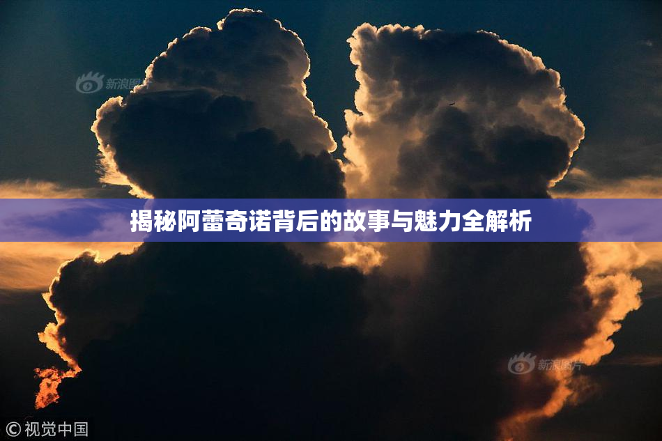 揭秘阿蕾奇诺背后的故事与魅力全解析