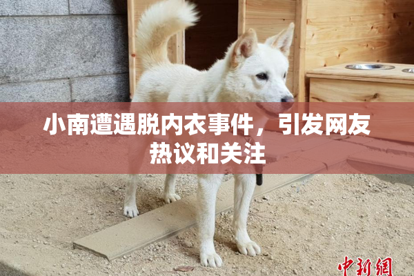 小南遭遇脱内衣事件，引发网友热议和关注