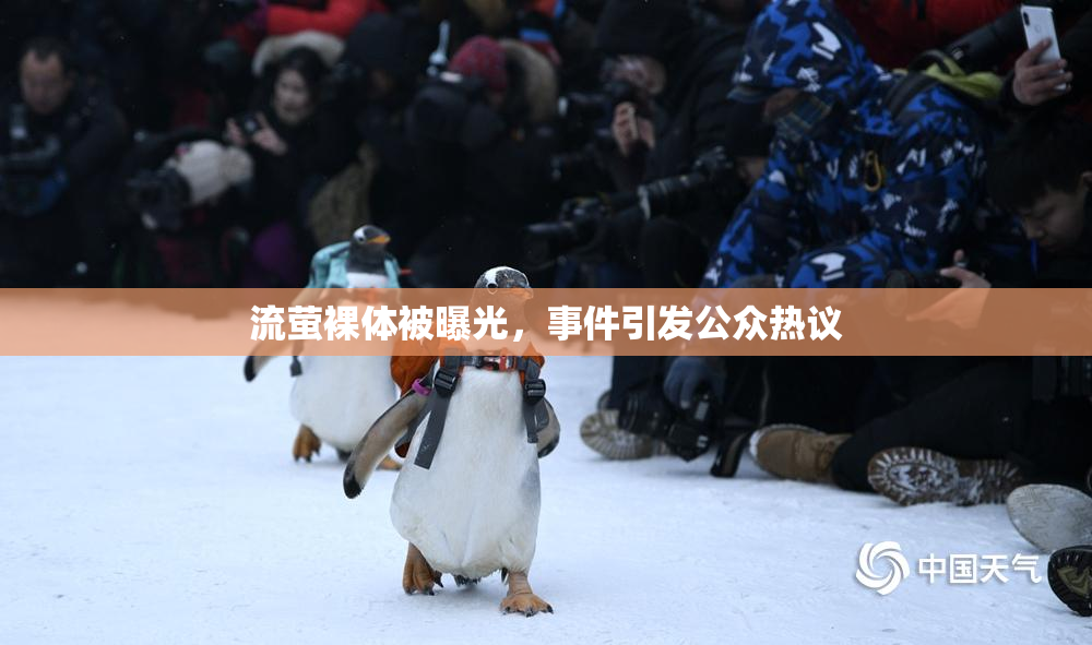 流萤裸体被曝光，事件引发公众热议