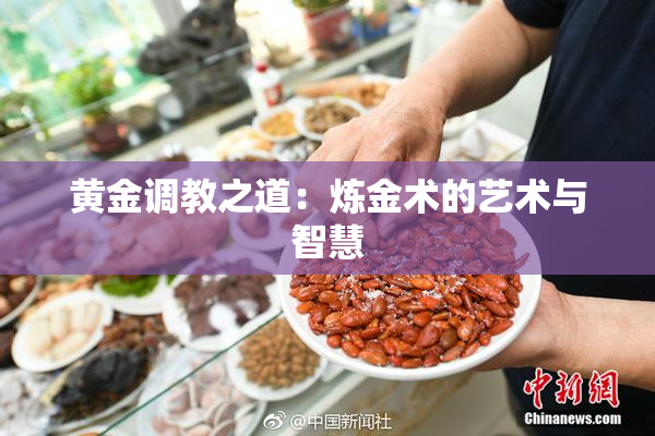 黄金调教之道：炼金术的艺术与智慧