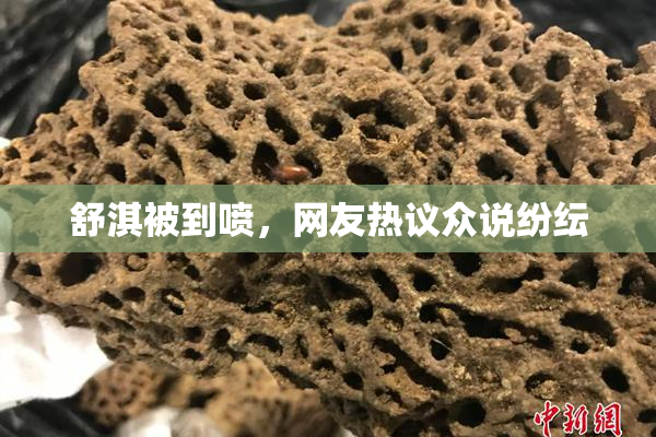 舒淇被到喷，网友热议众说纷纭