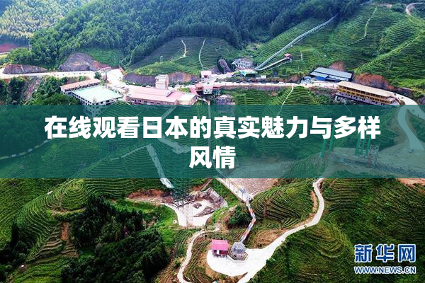 在线观看日本的真实魅力与多样风情