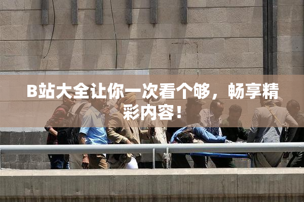 B站大全让你一次看个够，畅享精彩内容！