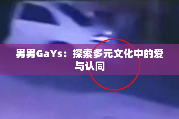 男男GaYs：探索多元文化中的爱与认同