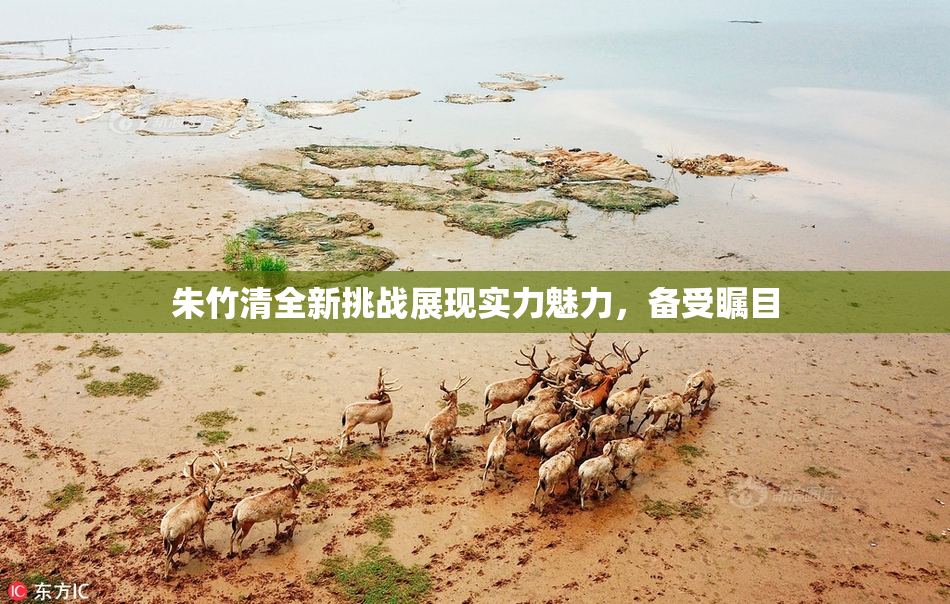 朱竹清全新挑战展现实力魅力，备受瞩目