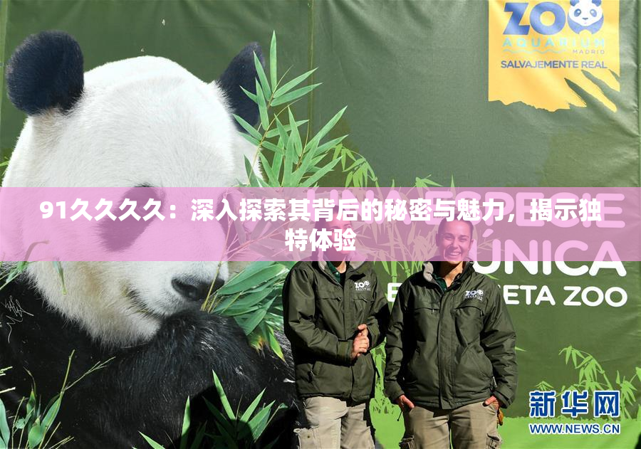 91久久久久：深入探索其背后的秘密与魅力，揭示独特体验