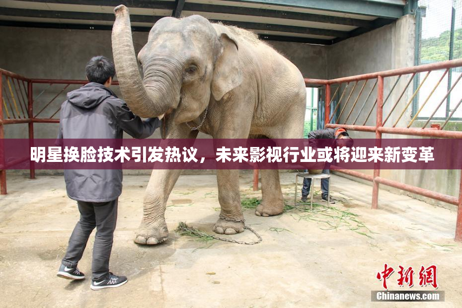 明星换脸技术引发热议，未来影视行业或将迎来新变革