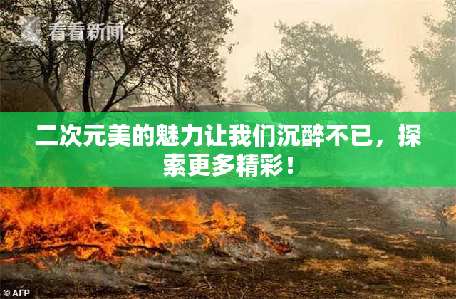 二次元美的魅力让我们沉醉不已，探索更多精彩！
