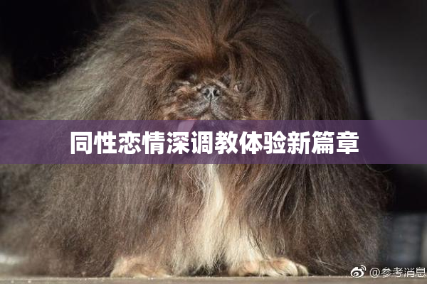 同性恋情深调教体验新篇章