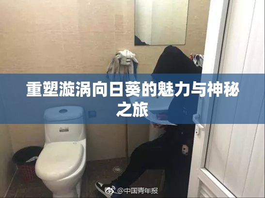 重塑漩涡向日葵的魅力与神秘之旅