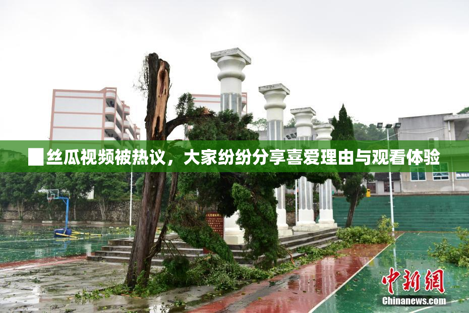 ▉丝瓜视频被热议，大家纷纷分享喜爱理由与观看体验