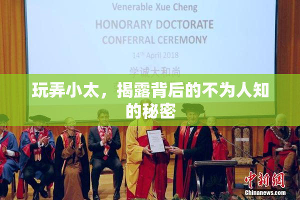 玩弄小太，揭露背后的不为人知的秘密
