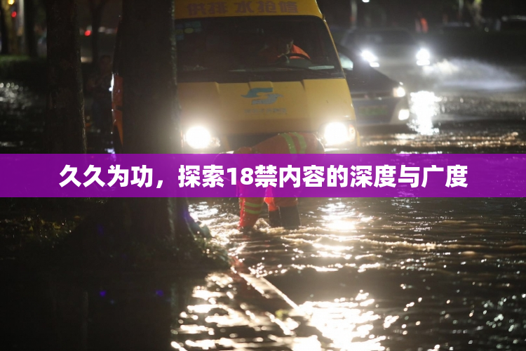 久久为功，探索18禁内容的深度与广度