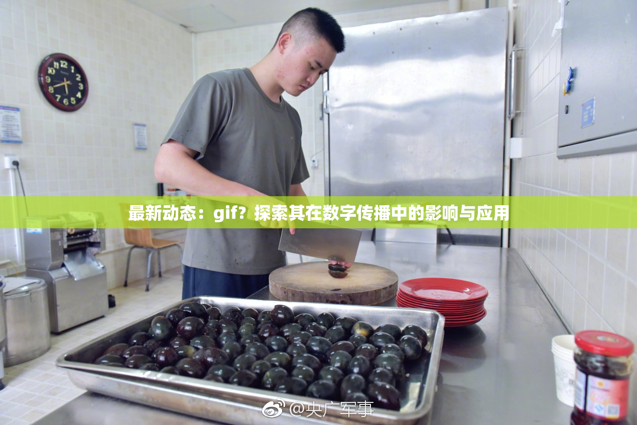最新动态：gif？探索其在数字传播中的影响与应用