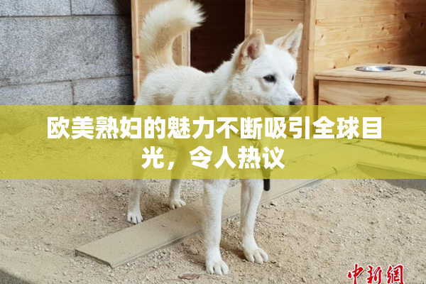 欧美熟妇的魅力不断吸引全球目光，令人热议