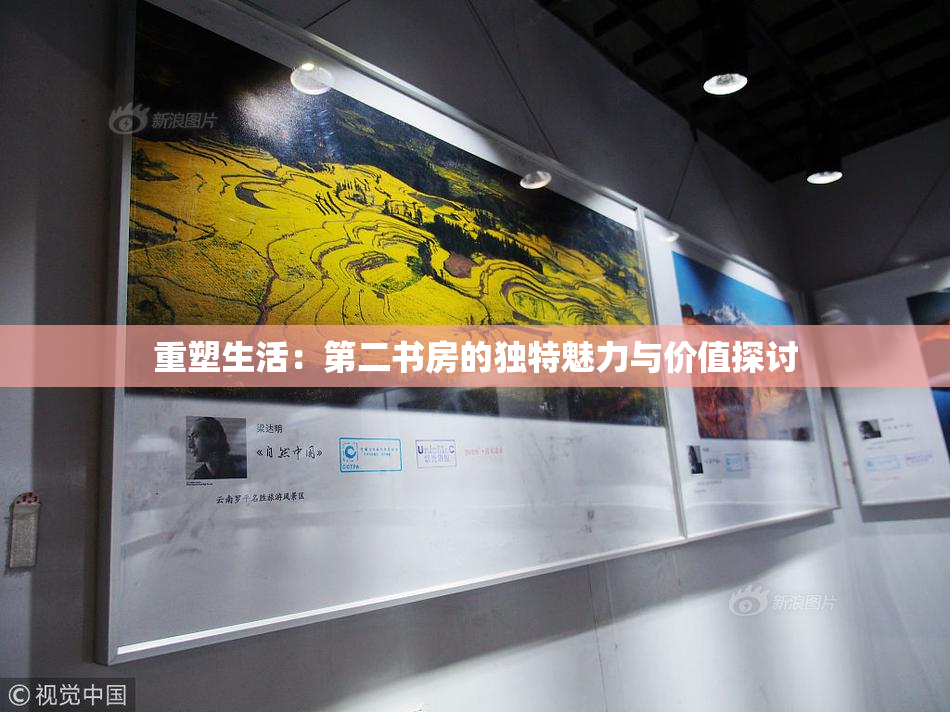 重塑生活：第二书房的独特魅力与价值探讨
