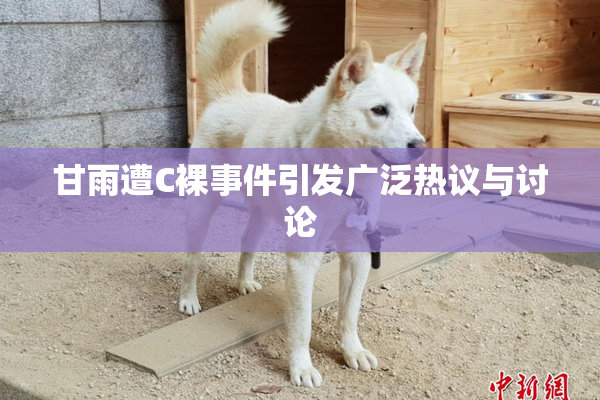 甘雨遭C裸事件引发广泛热议与讨论