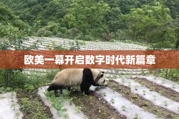 欧美一幕开启数字时代新篇章