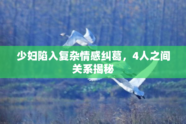 少妇陷入复杂情感纠葛，4人之间关系揭秘