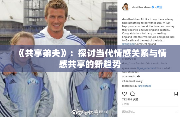 《共享弟夫》：探讨当代情感关系与情感共享的新趋势
