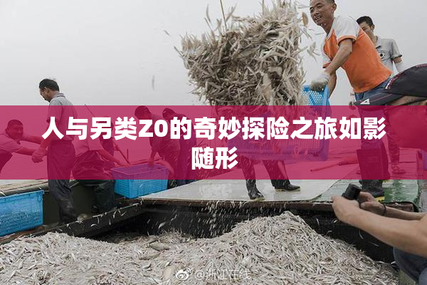 人与另类Z0的奇妙探险之旅如影随形