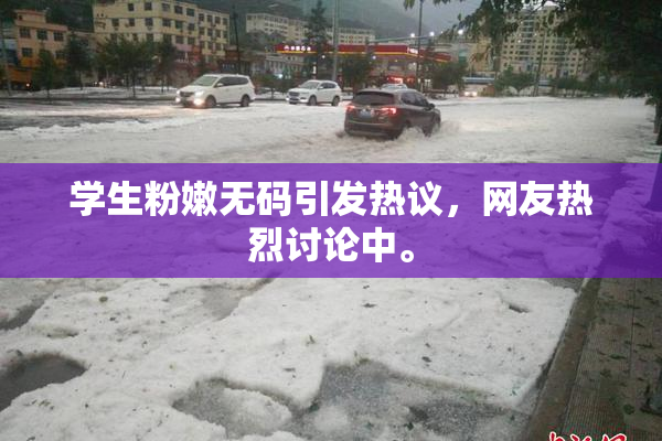 学生粉嫩无码引发热议，网友热烈讨论中。