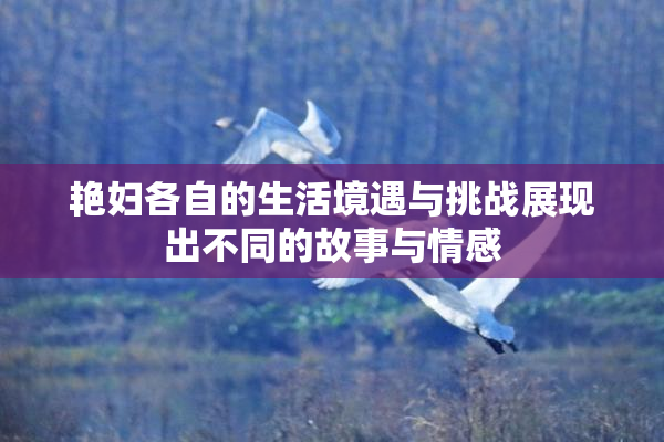 艳妇各自的生活境遇与挑战展现出不同的故事与情感