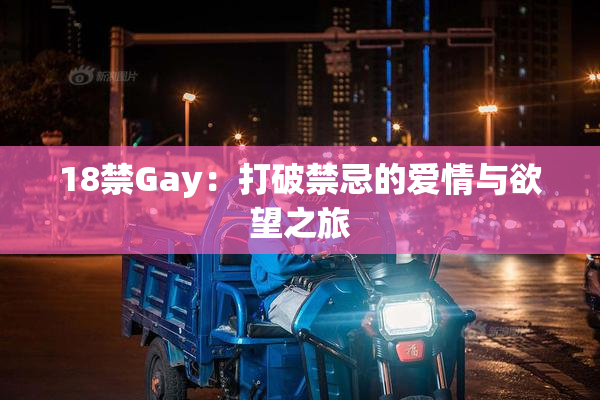 18禁Gay：打破禁忌的爱情与欲望之旅