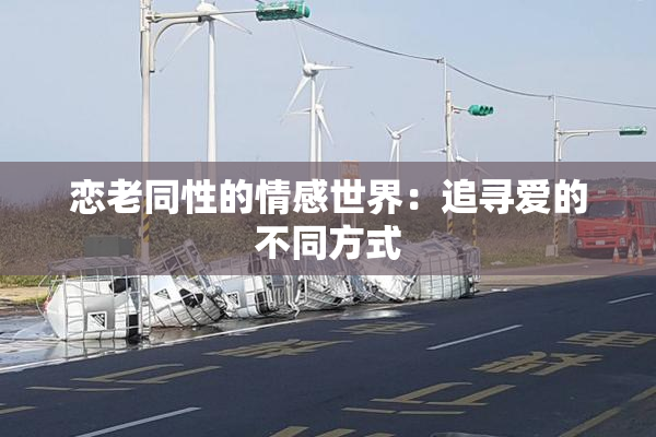 恋老同性的情感世界：追寻爱的不同方式
