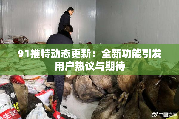 91推特动态更新：全新功能引发用户热议与期待
