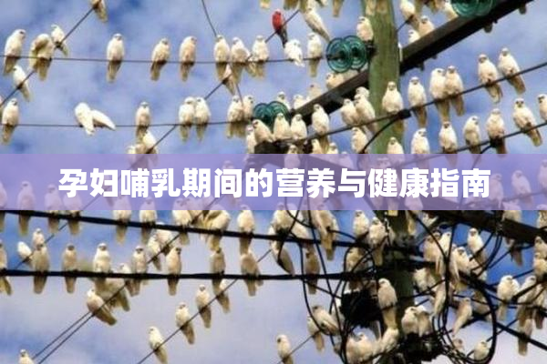 孕妇哺乳期间的营养与健康指南